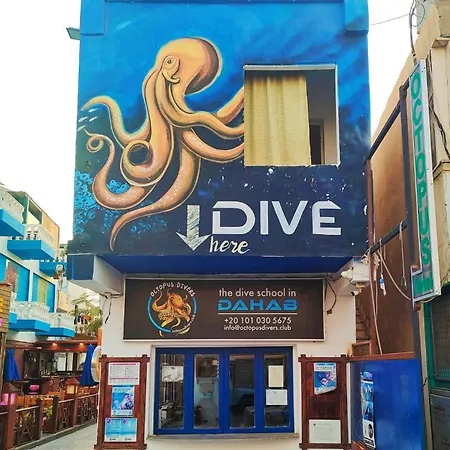 Dahab House Octopus Apartment